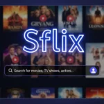 Sflix: How to Use a Video Downloader for Seamless Streaming