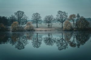 Image AI Licensing, Without The Lawyer Speak (2026)