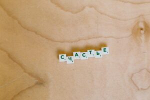 Five Claude Prompts That Actually Work